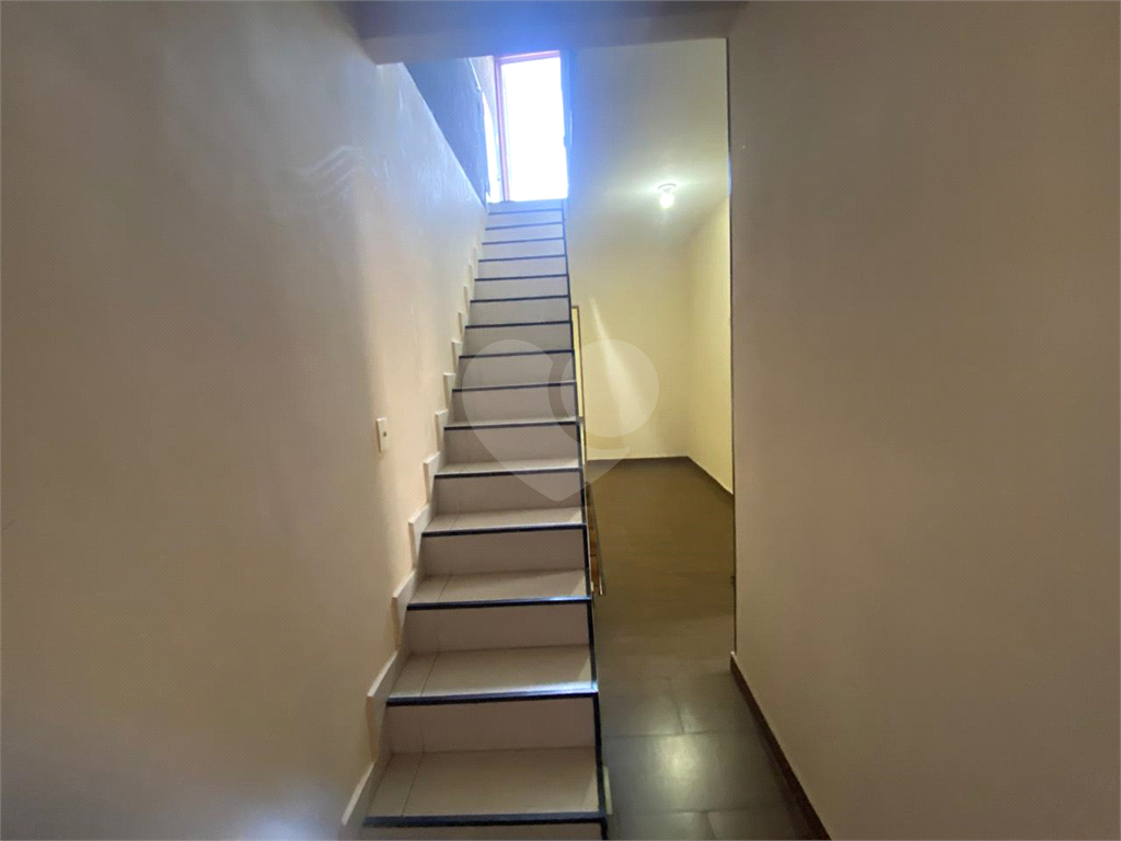 Casa, 3 quartos, 380 m² - Foto 19