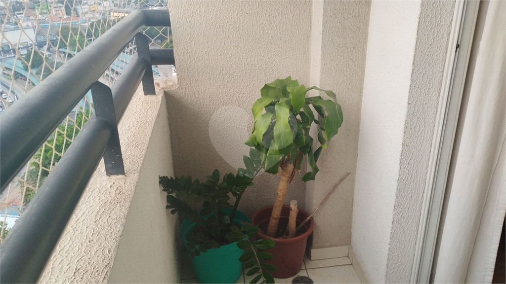 Apartamento à venda 2 dorm. 1 vaga na Bairro do Limão com 49m2