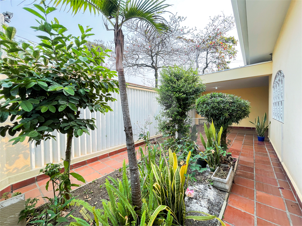 Casa Térrea - Butantã - 6 Dormitórios / 3 Suítes - 3 Vagas - Venda / Compra