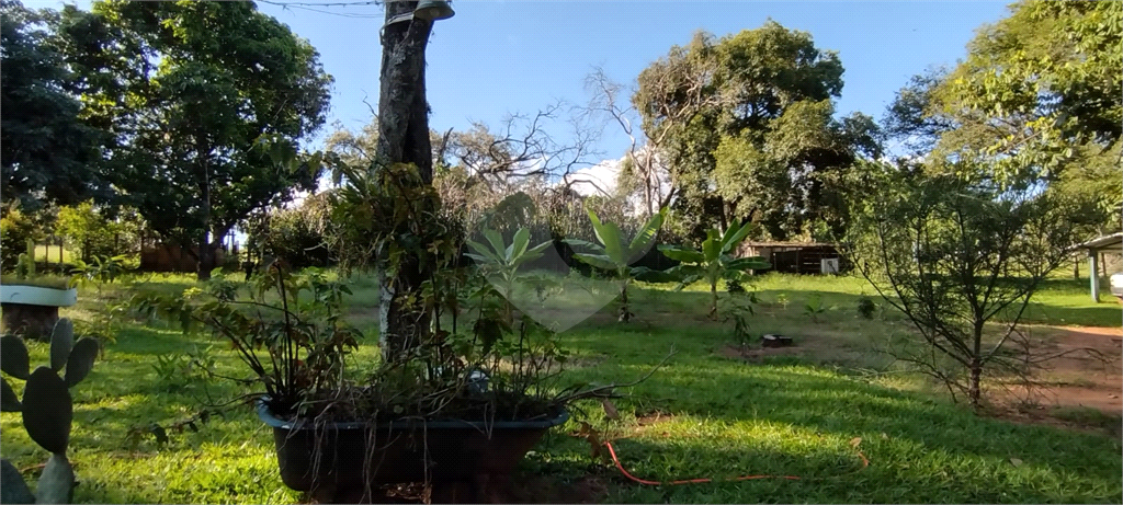 Fazenda à venda com 4 quartos, 500m² - Foto 4