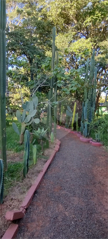 Fazenda à venda com 4 quartos, 500m² - Foto 17