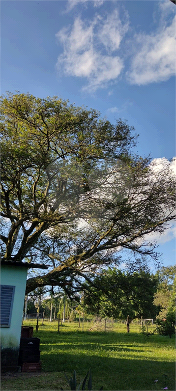 Fazenda à venda com 4 quartos, 500m² - Foto 19