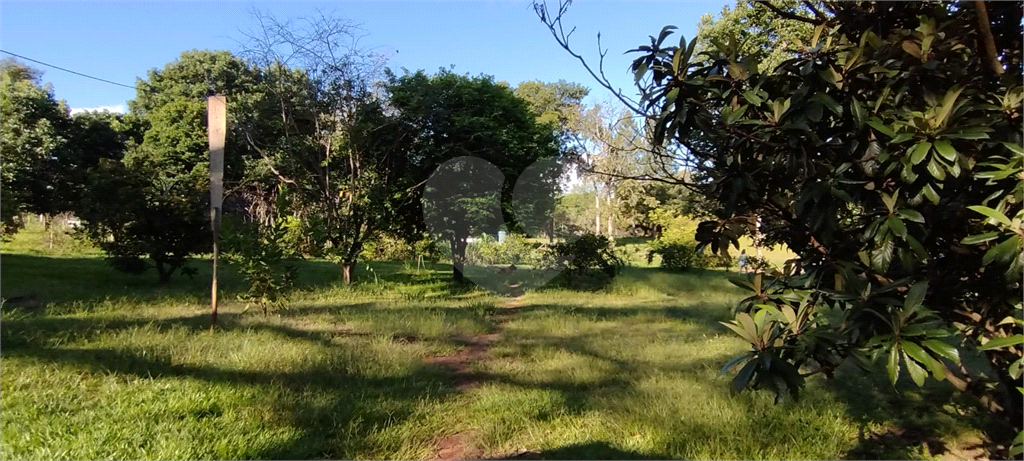 Fazenda à venda com 4 quartos, 500m² - Foto 15