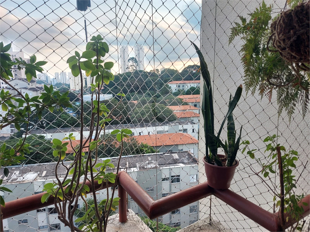 APARTAMENTO em MANDAQUI