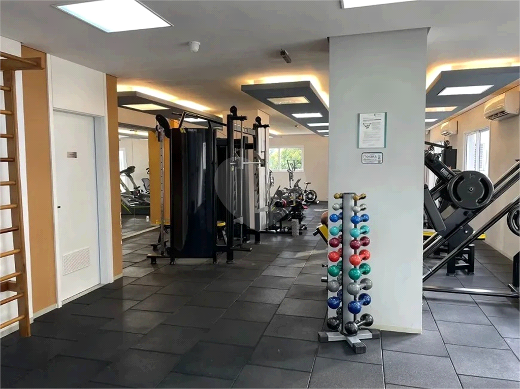 Apartamento a venda na Vila Mascote