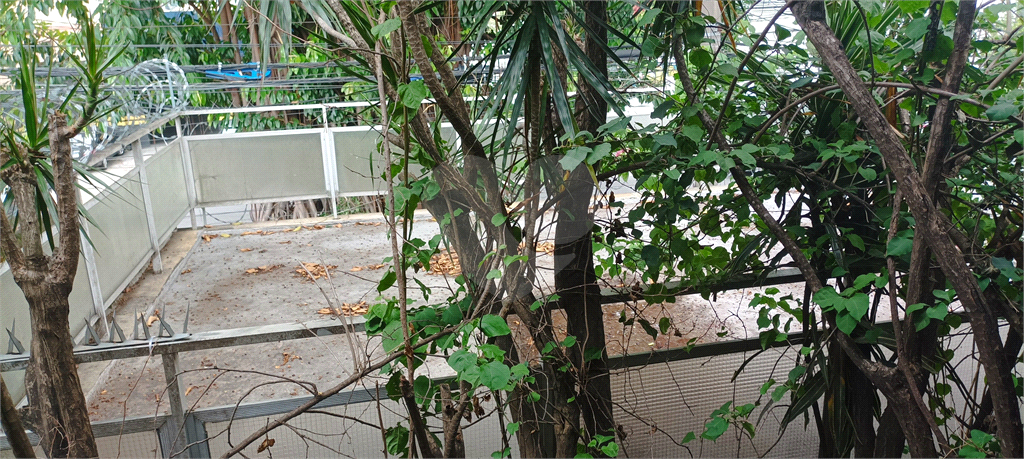 VENDE-SE SOBRADO COM 3 DORM, 1 SUITE, EDICULA COM 2 APARTAMENTOS E DUAS VAGAS NA PEDRO BUENO