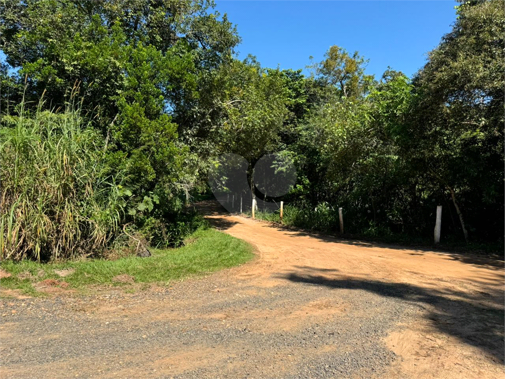 Fazenda à venda com 3 quartos, 346m² - Foto 66