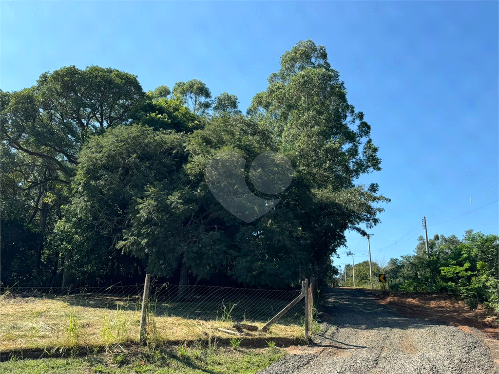 Fazenda à venda com 3 quartos, 346m² - Foto 63