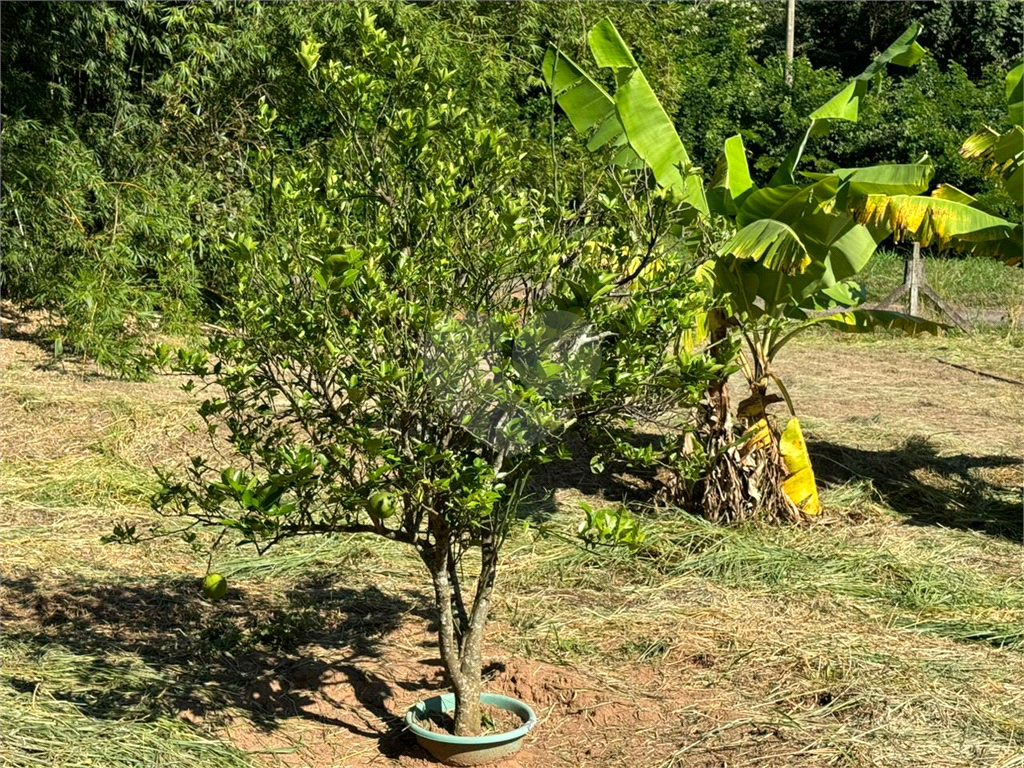 Fazenda à venda com 3 quartos, 346m² - Foto 49