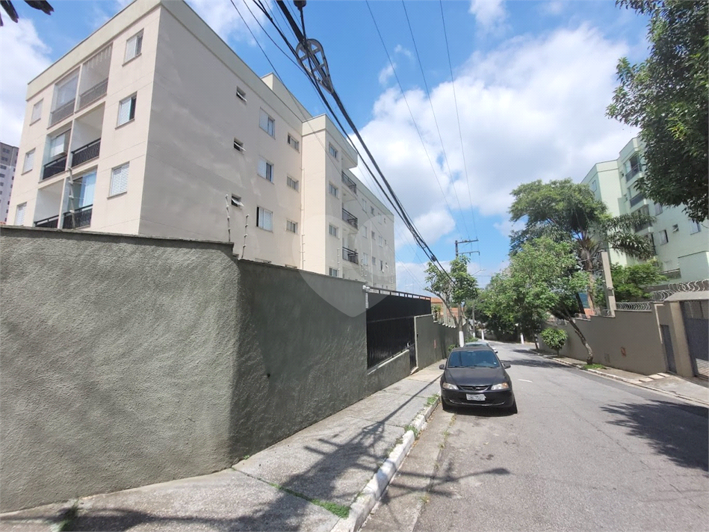 APARTAMENTO em HORTO