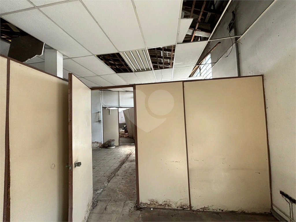 Galpao;Terreno  700  mts Regiao Alto do Mamdaqui
