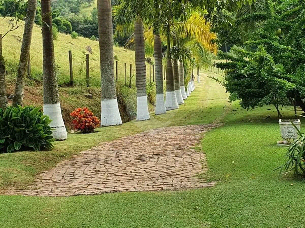 Sítio à venda com 9 quartos, 835m² - Foto 7