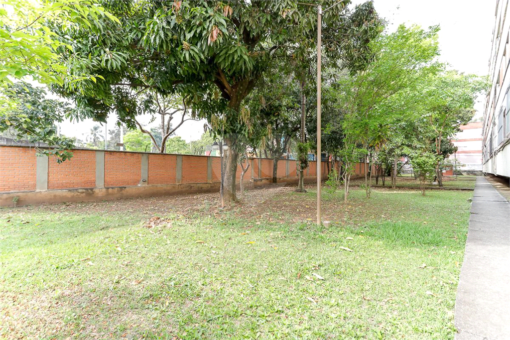 APARTAMENTO em JAÇANÃ