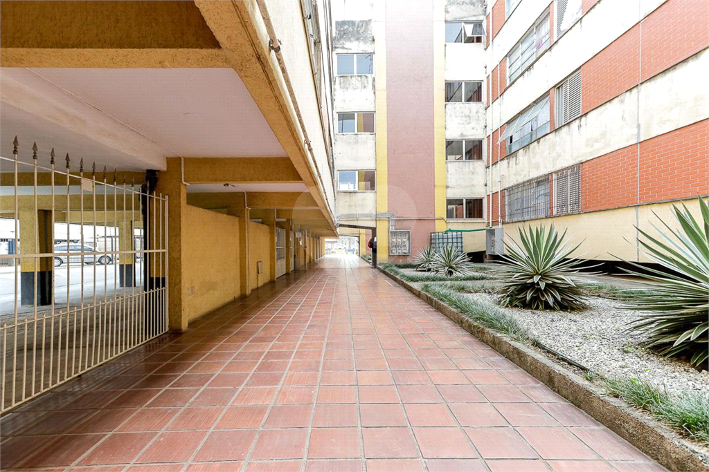 APARTAMENTO em JAÇANÃ