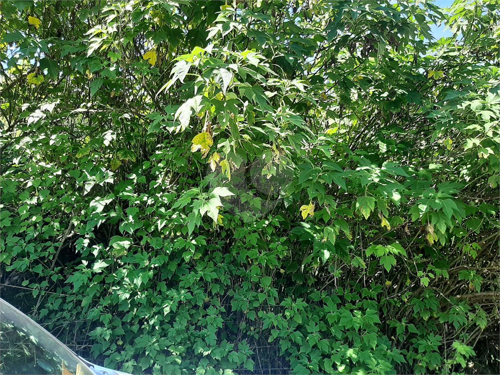 Terreno em Caieira no “Parque Santa Inês” com 297,1m2 de área no início na Serra da Cantareira