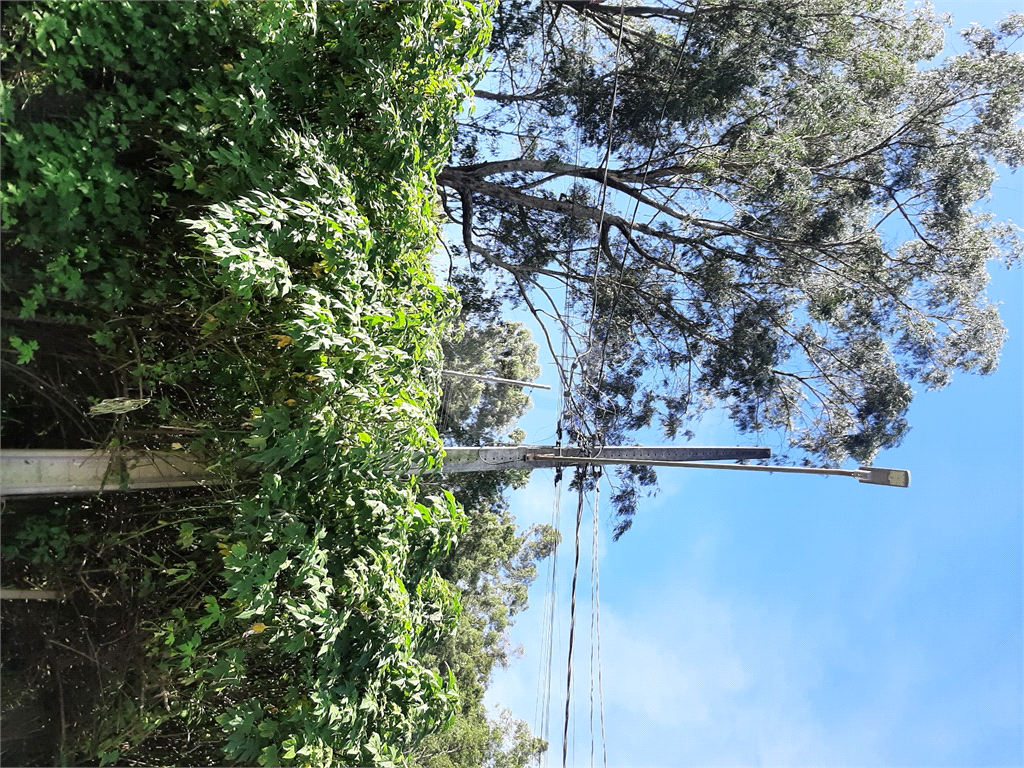 Terreno em Caieira no “Parque Santa Inês” com 297,1m2 de área no início na Serra da Cantareira