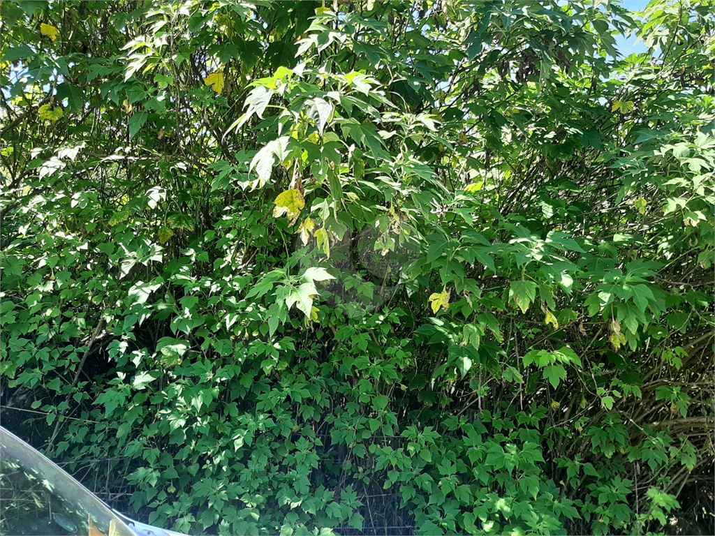 Terreno em Caieira no “Parque Santa Inês” com 297,1m2 de área no início na Serra da Cantareira