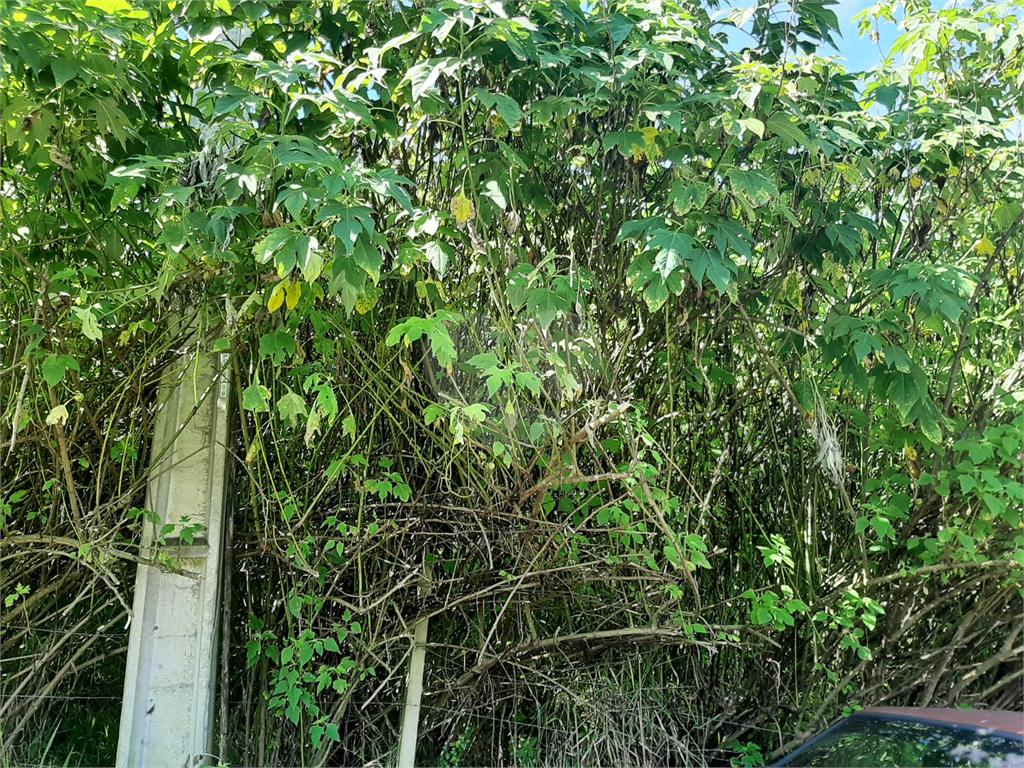 Terreno em Caieira no “Parque Santa Inês” com 297,1m2 de área no início na Serra da Cantareira