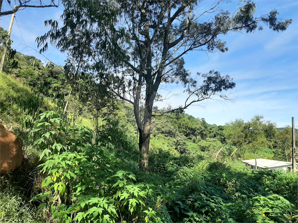 Terreno em Caieira no “Parque Santa Inês” com 297,1m2 de área no início na Serra da Cantareira