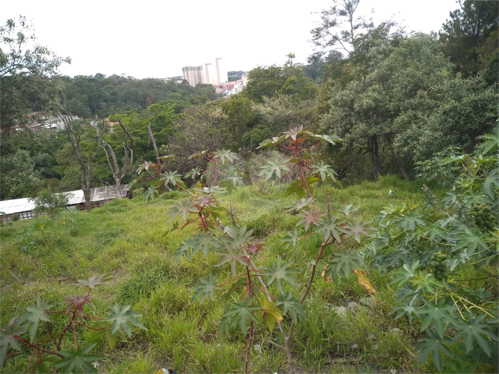 TERRENO em BARUERI