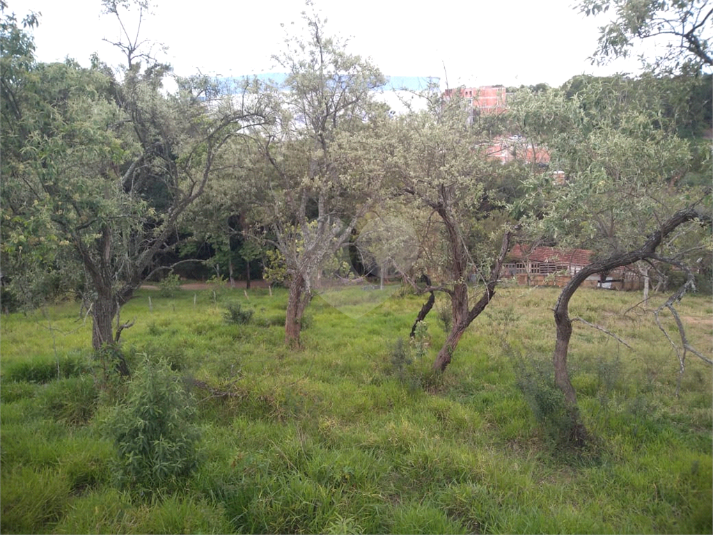 TERRENO em BARUERI