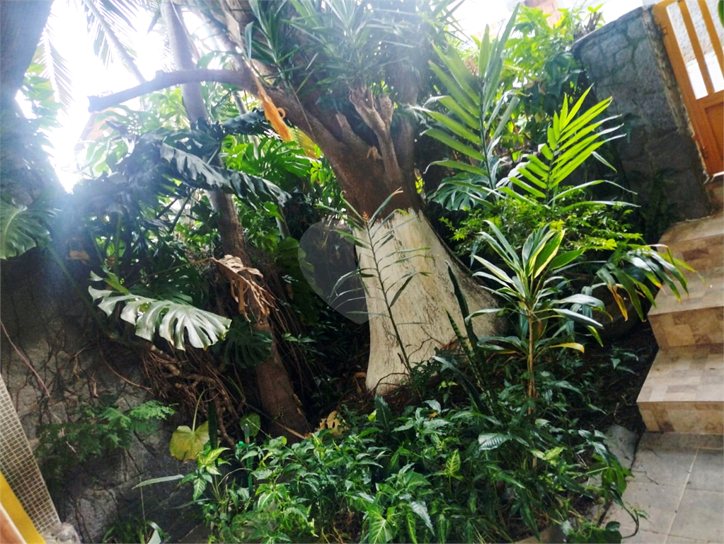 Casa e ou terreno bairro do  Tremembé