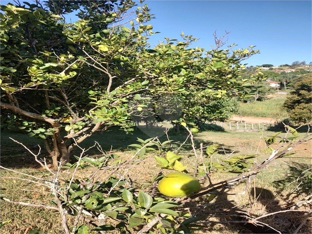 Fazenda à venda com 4 quartos, 190m² - Foto 34