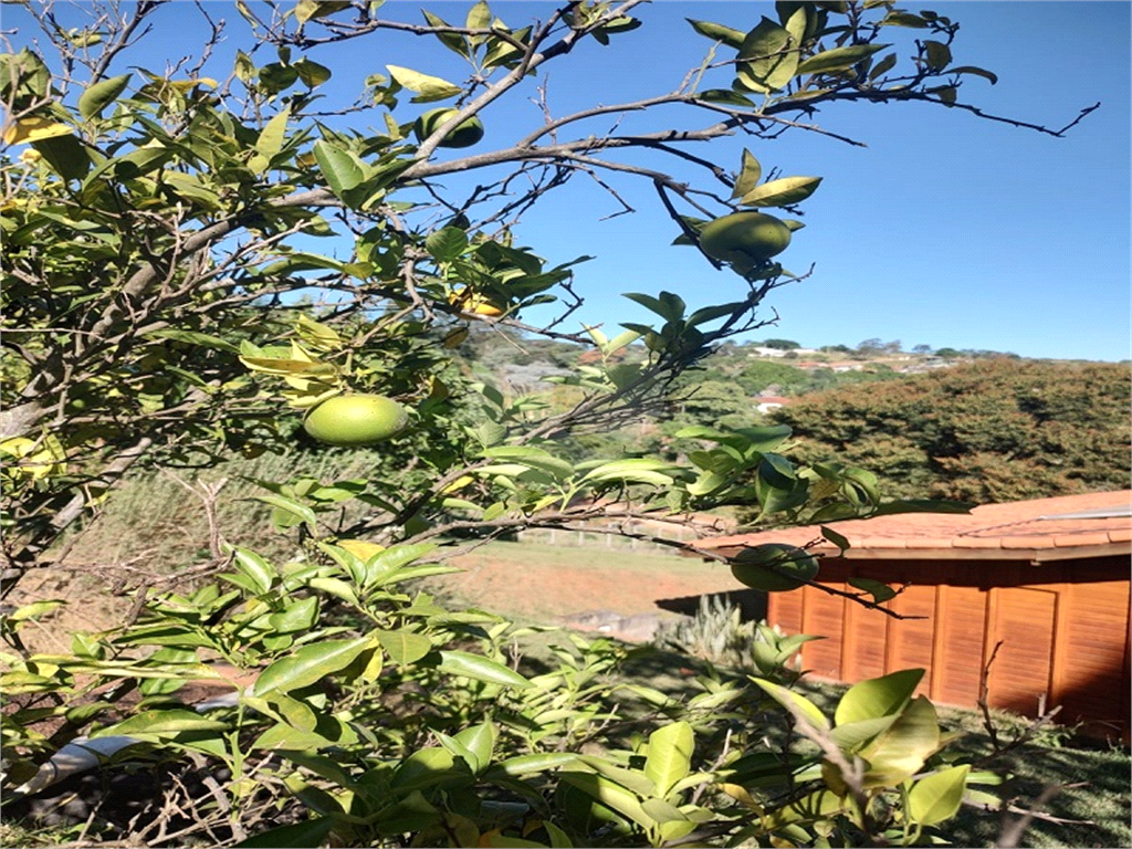 Fazenda à venda com 4 quartos, 190m² - Foto 33