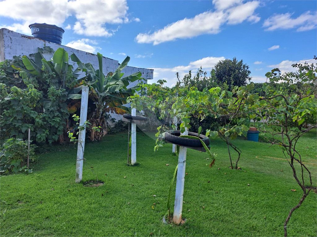 Fazenda à venda com 3 quartos, 350m² - Foto 16