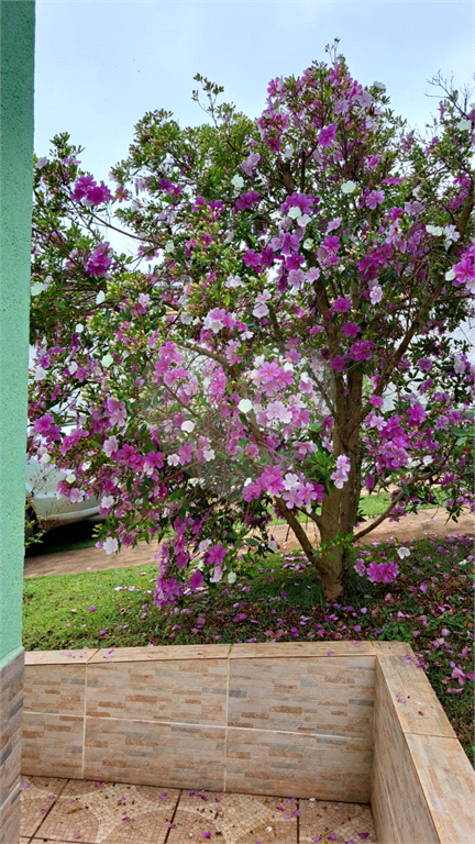 Fazenda à venda com 3 quartos, 350m² - Foto 14