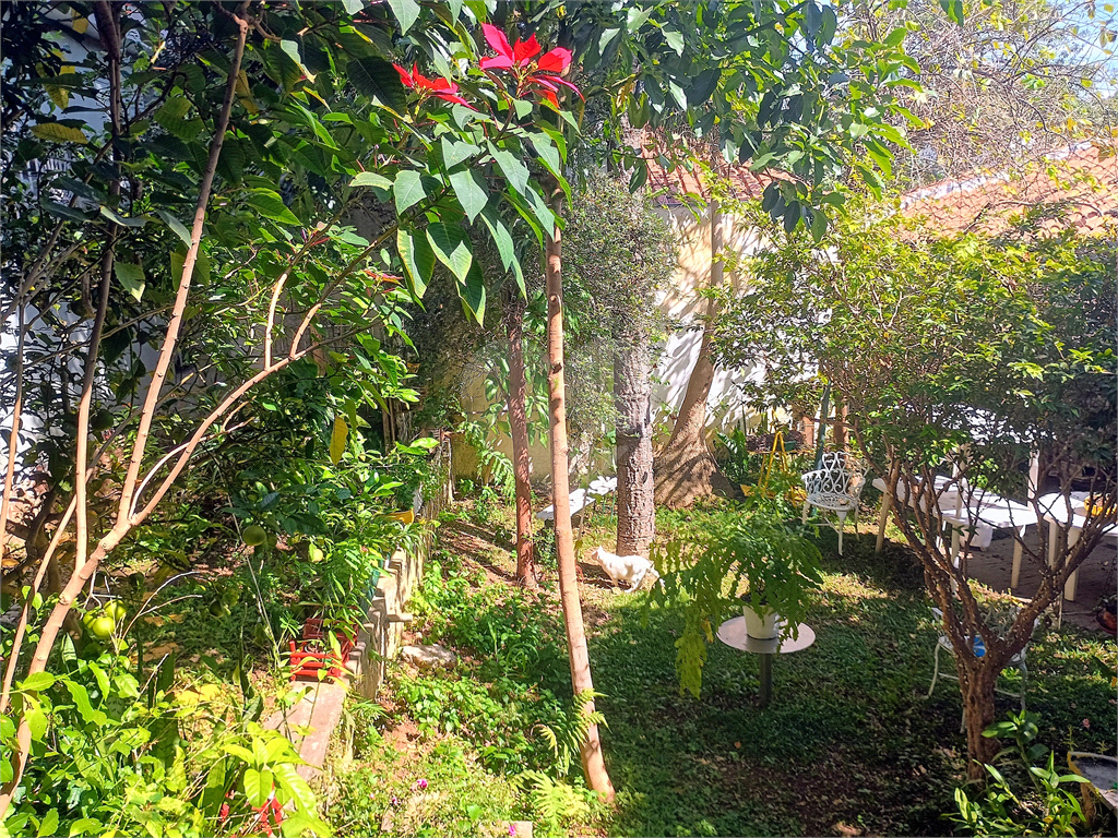 Pensa numa casa gostosa que parece que você está numa cidade do interior... 
