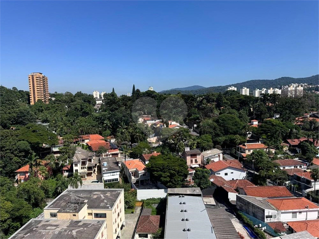 Apartamento 3 Dormitórios - 1 Suíte - Zona Norte