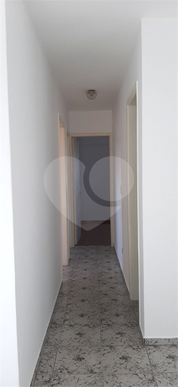 Apartamento 3 Dormitórios - 1 Suíte - Zona Norte