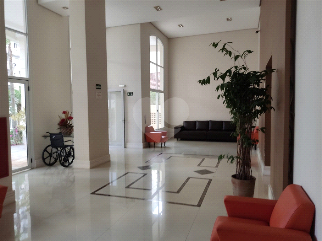 Apartamento 2 quartos a venda com renda