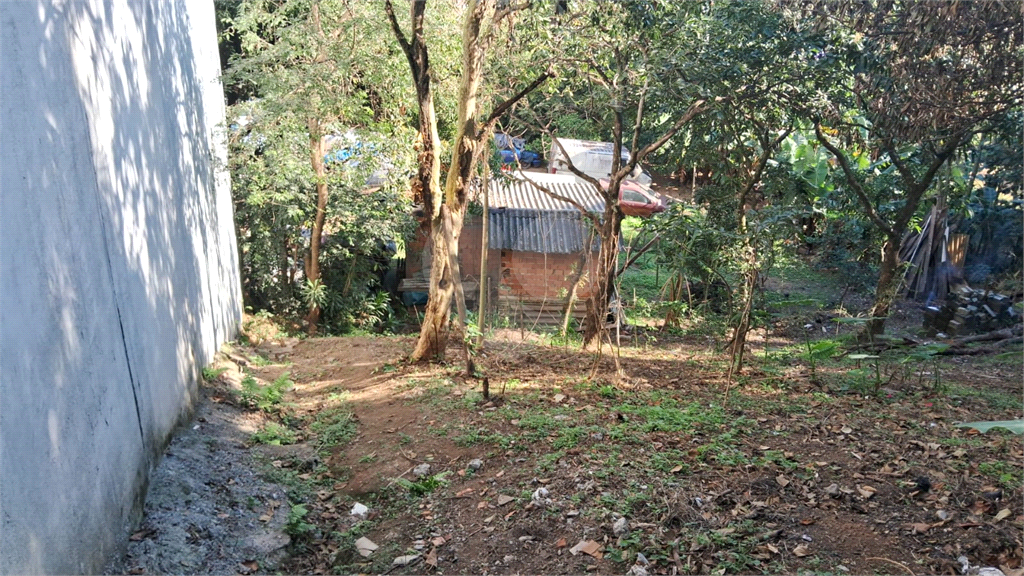 TERRENO em JARAGUÁ