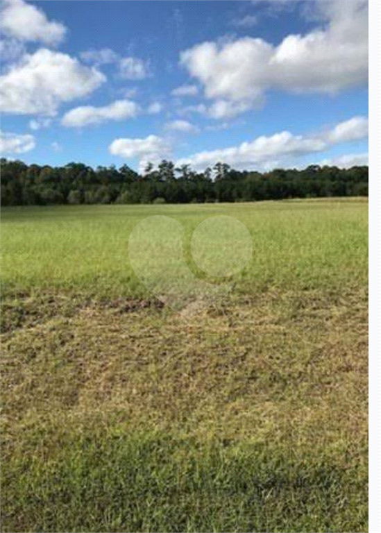 TERRENO em JARAGUÁ