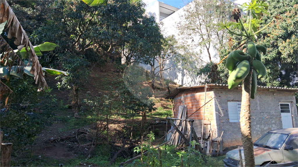 TERRENO em JARAGUÁ
