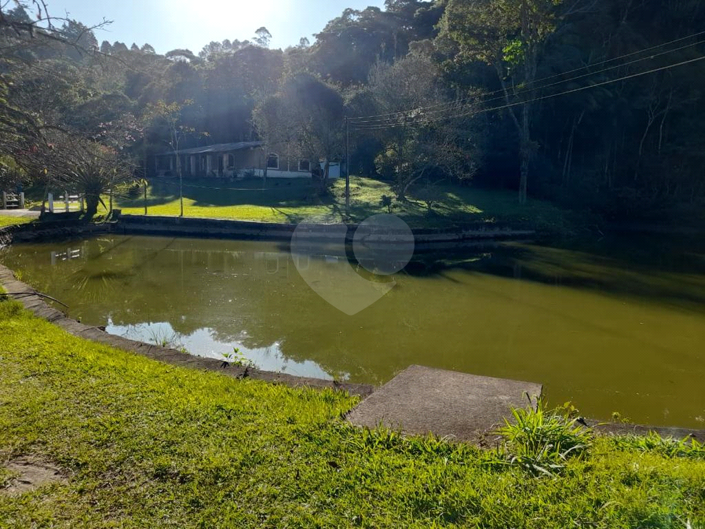 Fazenda à venda com 4 quartos, 400m² - Foto 35