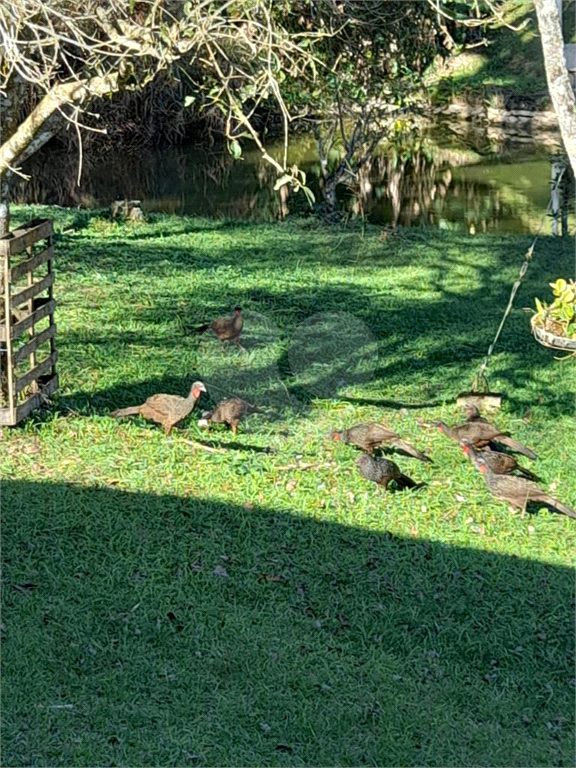 Fazenda à venda com 4 quartos, 400m² - Foto 19