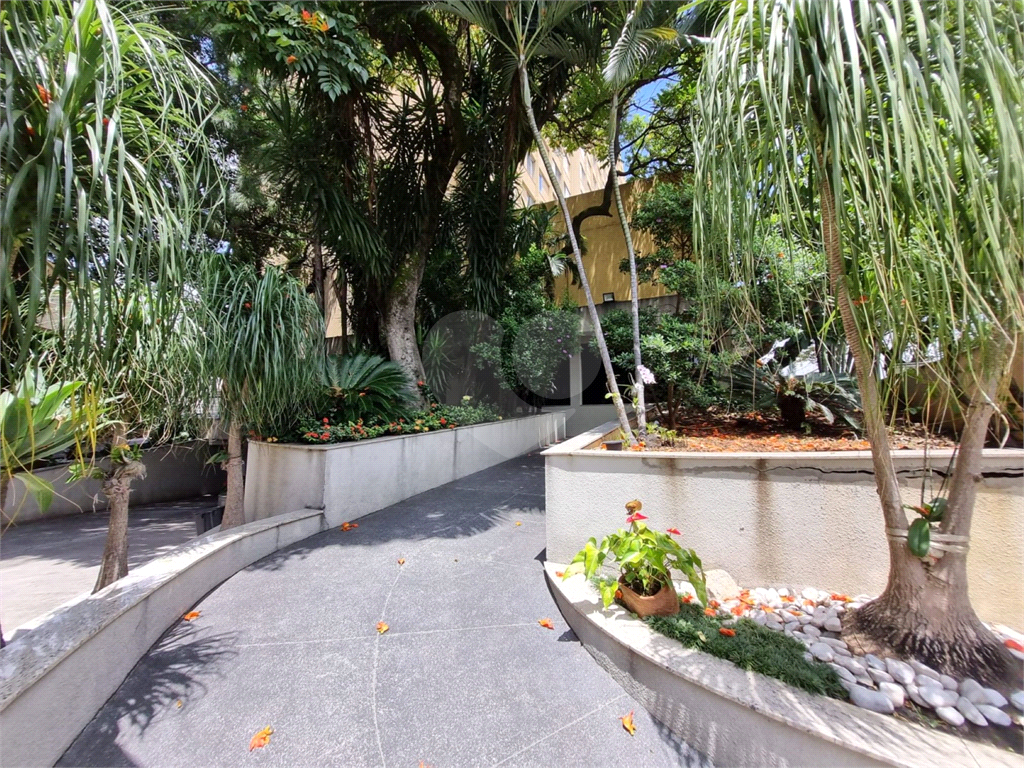 APARTAMENTO em LAPA