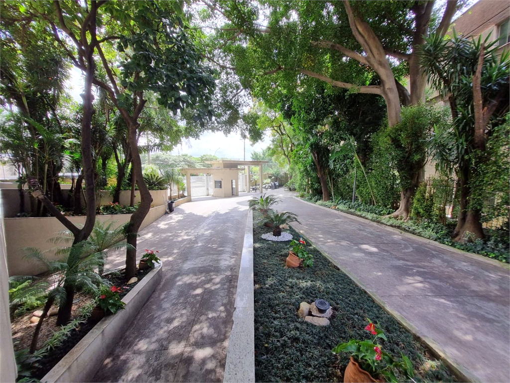 APARTAMENTO em LAPA