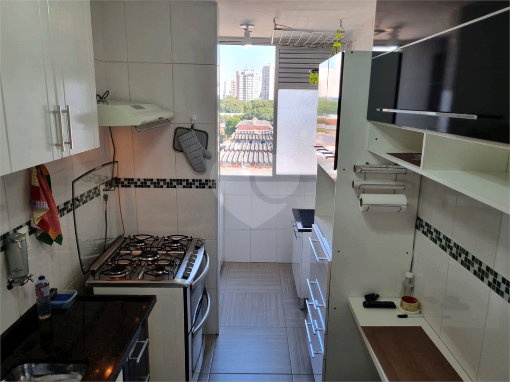 APARTAMENTO em LAPA