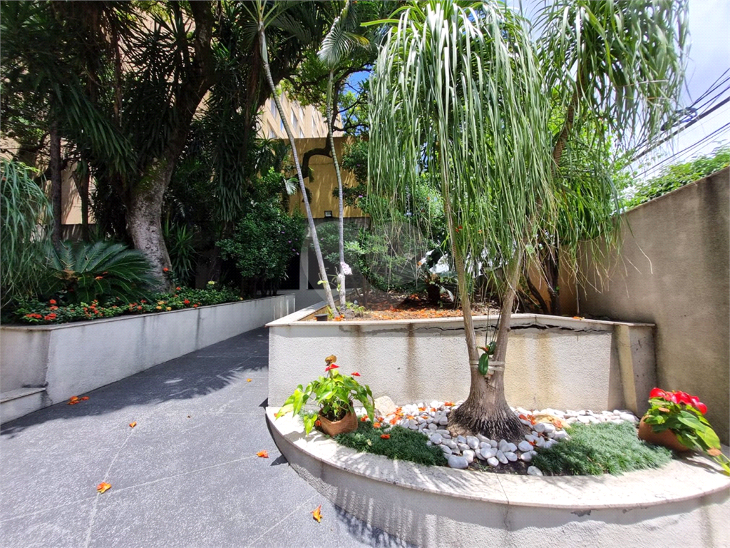 APARTAMENTO em LAPA