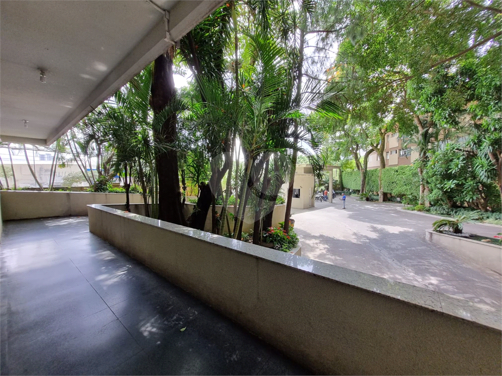 APARTAMENTO em LAPA