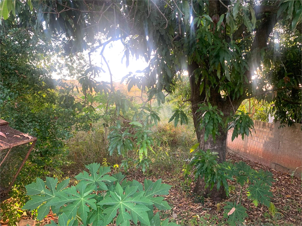 Fazenda à venda com 2 quartos, 100m² - Foto 8