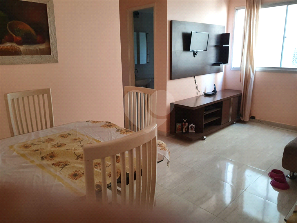 APARTAMENTO / SANTA TEREZINHA