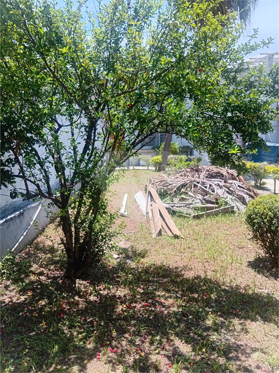 Casa Térrea no Tremembé com 500 metros de terreno  com 3 dormitórios , 3 vagas, e mais 2 casas no fundo independente com 1 dormitório cada.