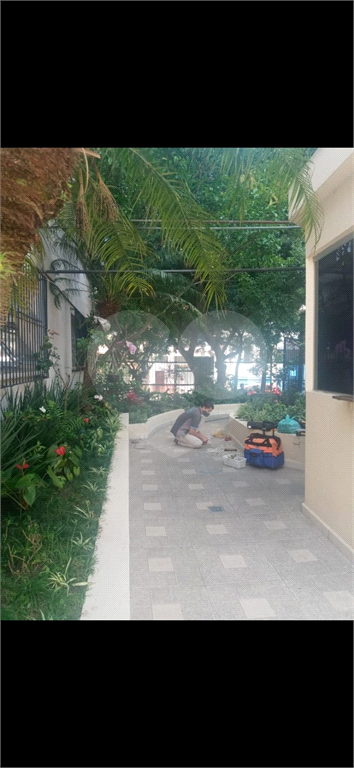 Apartamento Residencial no Carrão