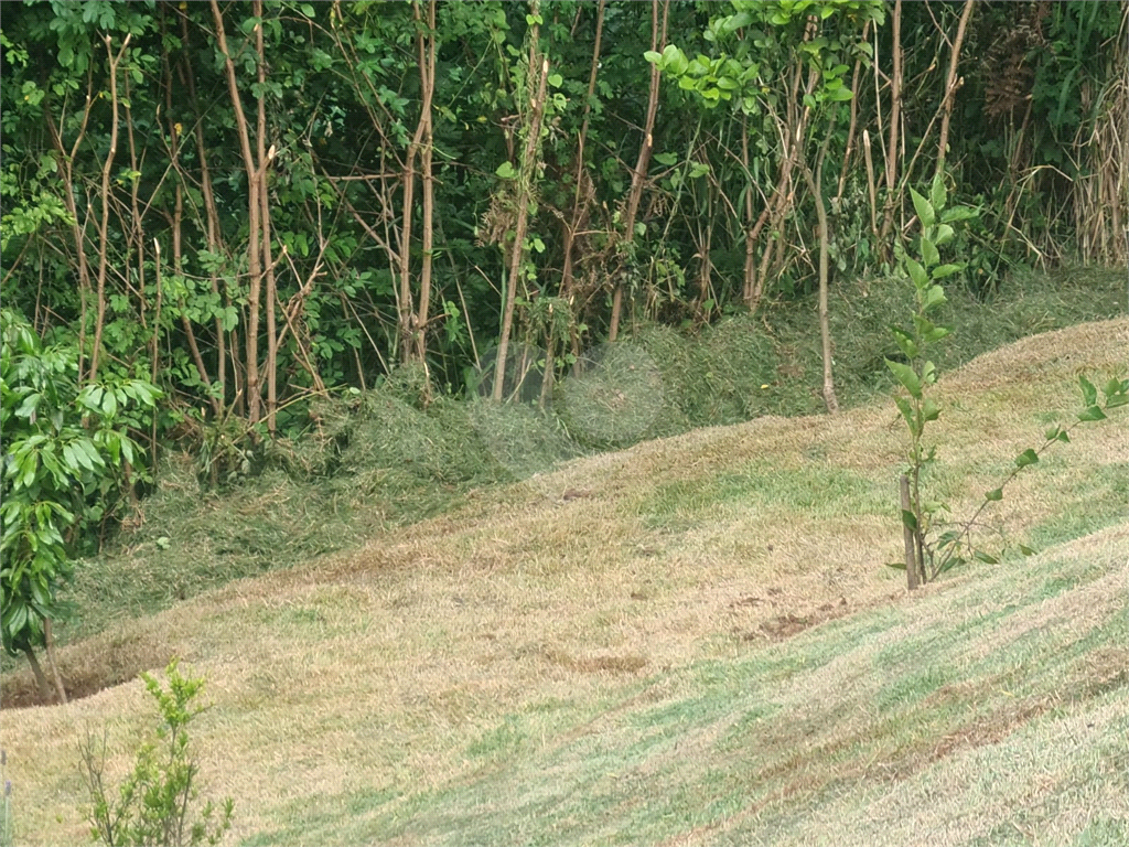 terreno serra  cantareira