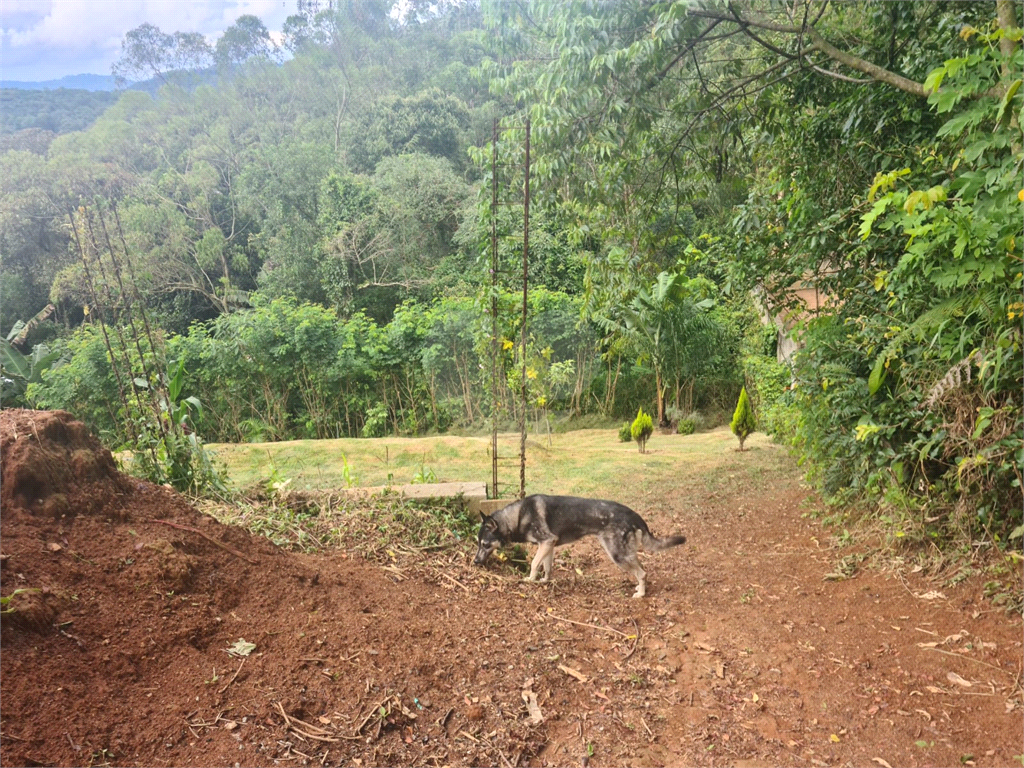 terreno serra  cantareira